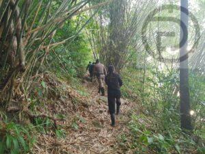 American tourist rescued after getting lost in the Thalang jungle in Phuket