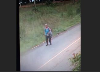UPDATE: Missing 76-year-old German tourist last seen on CCTV walking on local road in Mai Khao, Thalang
