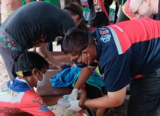 8 –year-old Ukrainian-Thai boy bitten by an unknown sea animal near Kamala Beach in Phuket, experts and officials dispute what the animal was