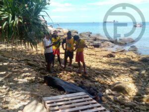  Dwarf sperm whale found dead on beach at Racha Island, Phuket