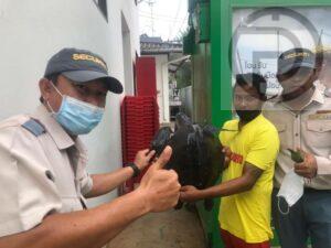 Sea turtle rescued on Kata Beach in Phuket