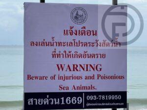 UPDATE: Signs placed at Kamala Beach, Phuket to warn injurious sea animals