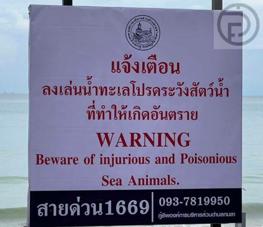 UPDATE: Signs placed at Kamala Beach, Phuket to warn injurious sea animals