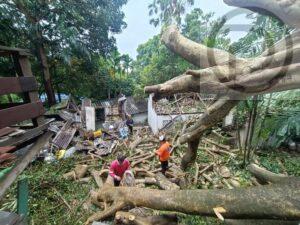 Storm knocks down several large trees ,damages three houses in Patong-Photo tour