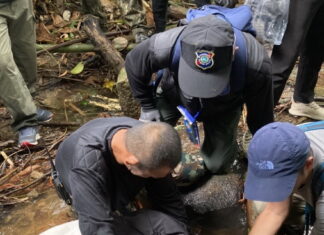 UPDATE: More details released on 76-year-old German tourist missing since May 9th found alive 15 kilometers from her hotel in Mai Khao, Thalang