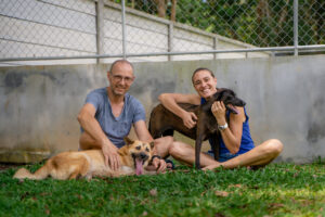 Soi Dog Foundation calls for tougher enforcement of dog and cat breeding welfare laws
