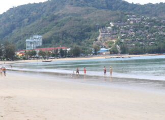 UPDATE: Kamala Beach will be a new landmark if sharks are returning says Kamala local chief but not everyone agrees