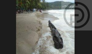 Russian woman breaks her leg after being hit by a large log while swimming at Kata Beach