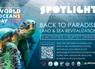 Koh Tao to host World Ocean Day 2022