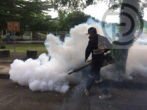 Wichit Municipality fights against mosquito-bourne illnesses, including dengue fever