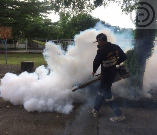 Wichit Municipality fights against mosquito-bourne illnesses, including dengue fever