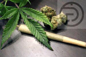 Thai Public Health Ministry withdraws its order for Thai Police to arrest cannabis sellers without proper permit