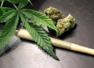 Southern Islamic leaders to push further coordinated action against the Thai government after being unhappy with cannabis decriminalization
