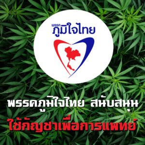 Cannabis and hemp will become a top new tourism trend in Thailand and a positive soft power, Bhumjaithai MP says