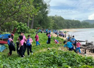 Phuket beach cleaning held to honor Queen Sirikit’s 90th birthday