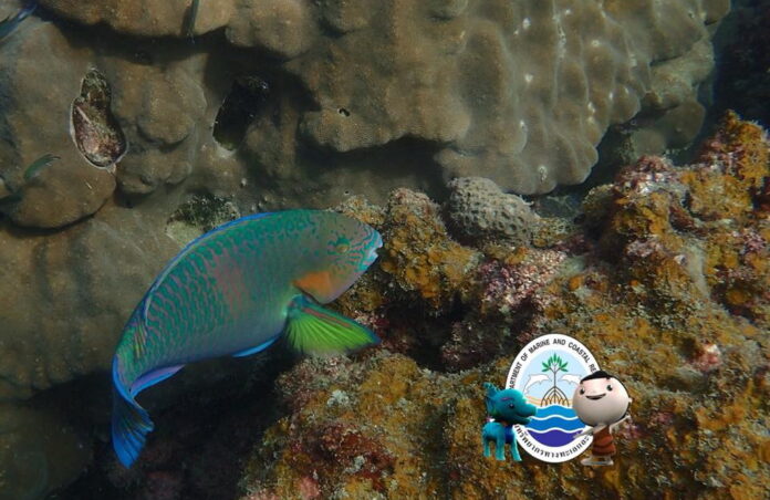 pic-20927-20191906-1560931914-727