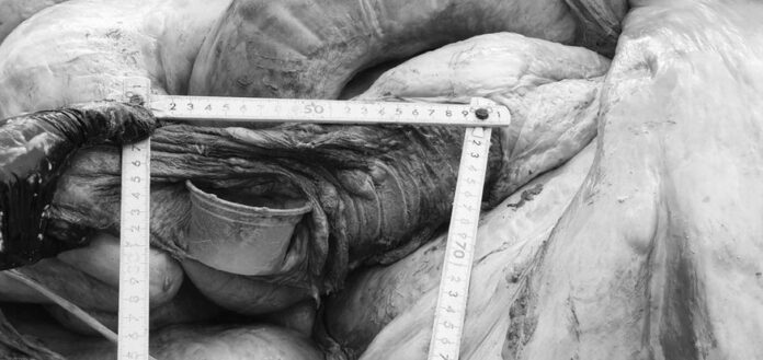 313405485_494027979425510_4213833833008735132_n