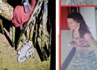 UPDATE: Missing Russian woman in Phuket last seen after going into the sea