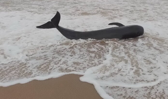 318343595_5604547222915332_4623578489379790933_n