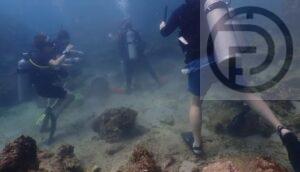 Coral Damaged by Boats and Tourist Divers at Phi Phi National Park in Krabi