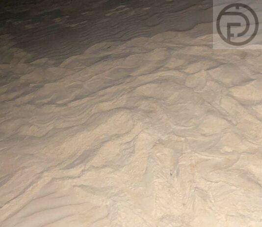 Another Leatherback Sea Turtle Lays Eggs on Phang Nga Beach