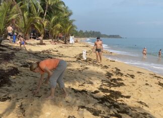 Russian Tourists Help to Clean Up Beach on Samui Island