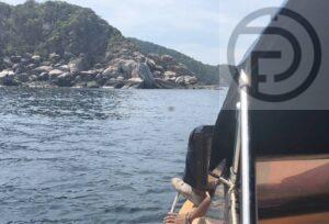 Body of Foreigner Found Floating Near Tao Island in Koh Phangan, Possibly Missing German Man