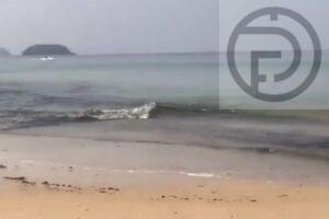 Black Water Found Flowing into Karon Beach