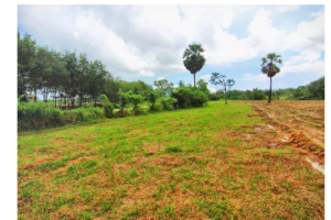 Real Estate: Phuket Land for Sale Within Easy Distance to Andaman Sea Beaches-Baan Para