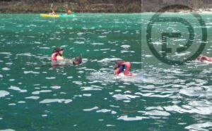 Russian tourist drowns at Phi Phi Island in Krabi