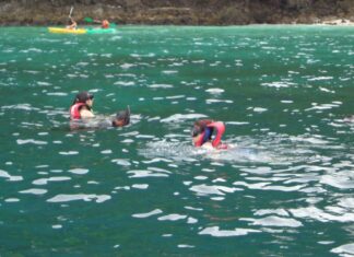Russian tourist drowns at Phi Phi Island in Krabi