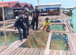 Two Seafood Restaurant Owners in Phuket Arrested With Various Protected Fish Including a Moray Eel