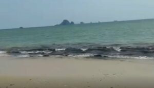 Tourists Scared to Go into Sea as Lots of Seaweed Found on Ao Nang Beach in Krabi