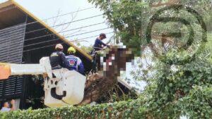 Myanmar Man Dies From Electrocution After Cutting Tree in Phuket