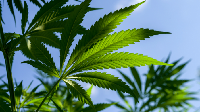 aec43be406fd2ecb02663fa668d69a6c_small