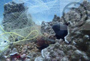 1,000 Meter Long Fishing Net Removed From Underwater Reef in Phuket