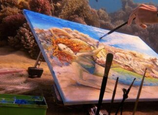 Phuket Governor Orders Investigation Over Underwater Painting