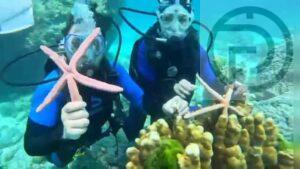 Two Chinese Tourists Officially Charged After Starfish Incident in Phuket