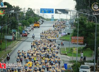Thousands of Runners Join the 113th Thai Mueang Run in Phang Nga