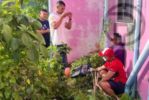 Undocumented Migrant From Laos Arrested After a Series of Burglaries in Patong