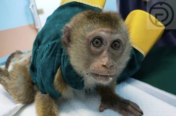 354616067_770435341498272_8576351700120417629_n