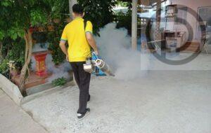 Phuket Fighting Against Dengue Fever