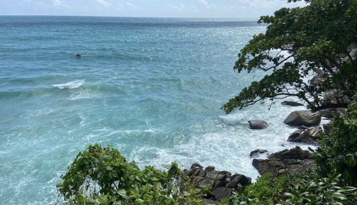 363302334_667192218767558_4244482749037822664_n