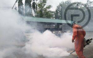 Thalang Highest for Dengue Fever Cases in Phuket