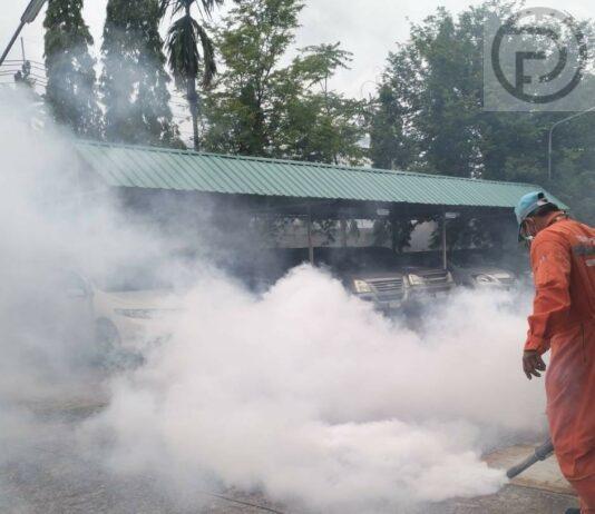 Thalang Highest for Dengue Fever Cases in Phuket