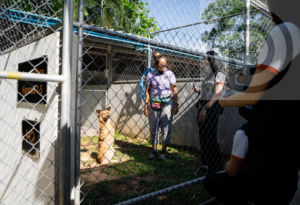 Department of Disease Control visits Soi Dog Foundation to collaborate on rabies prevention