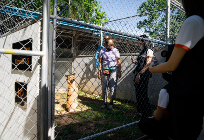 Specialty dogs will have a separate kennel to improve their quality of life.