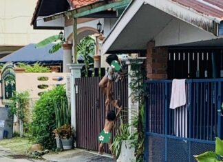 Thalang Residents Ask for Action Against Intoxicated Man Regularly Trespassing Into Other People’s Homes