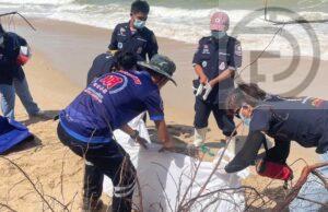 Human Skeletons Found on Beach in Phang Nga