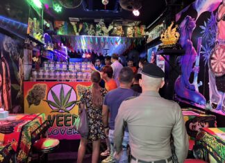Legal Action Taken Against 31 Cannabis Shops in Phuket